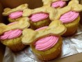 /album/reposteria-canina/iu-jpg/