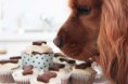 /album/reposteria-canina/dog-treat-pupcakes-jpg/